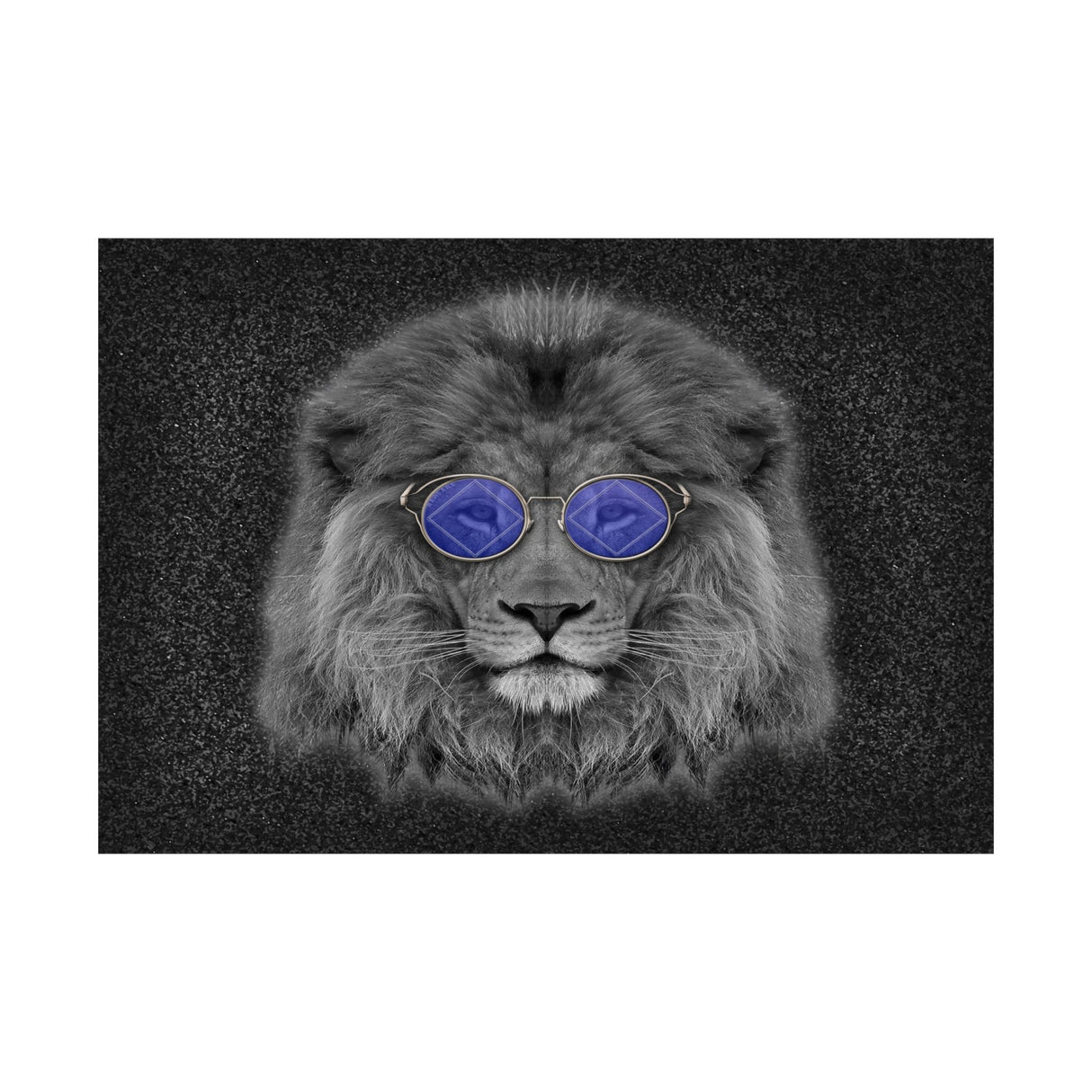 Cool NA Cat Horizontal Posters