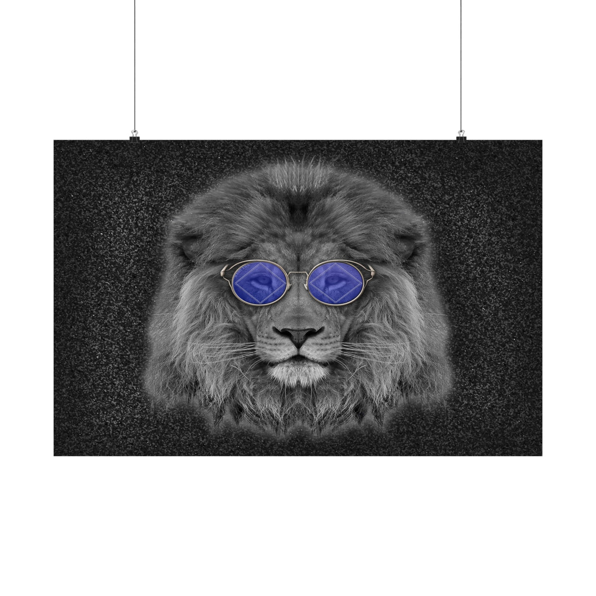 Cool NA Cat Horizontal Posters