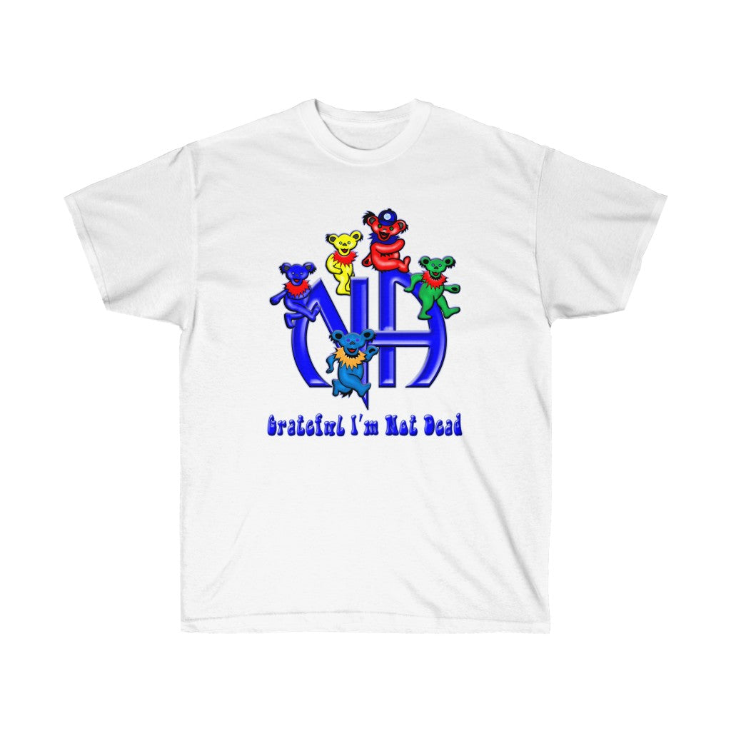 NA Grateful Not Dead dtg Tee