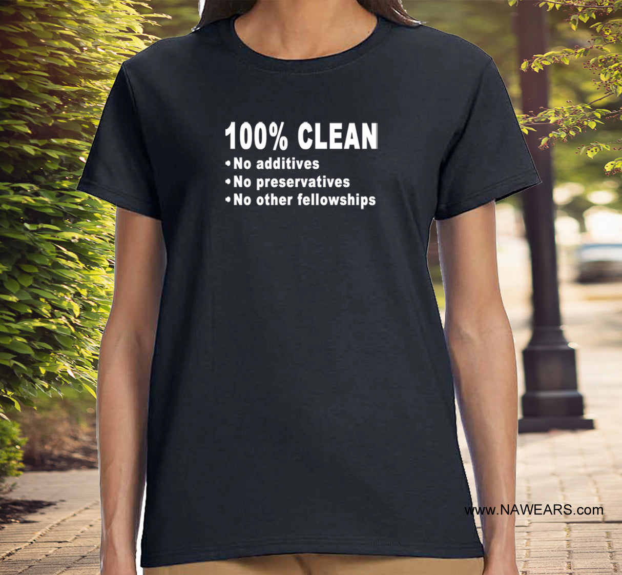 ldTs- 100% Clean - Ladies T's
