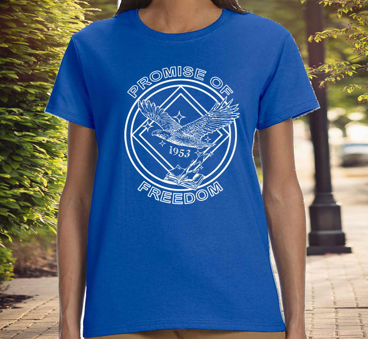 ldTs- Promise Of Freedom Ladies T's