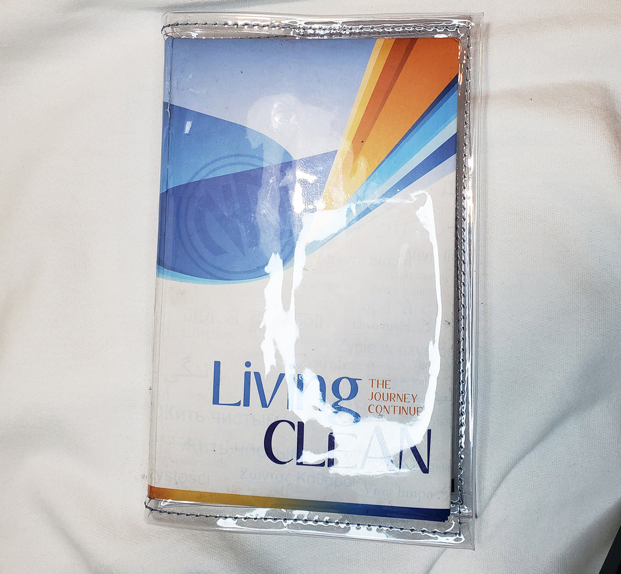 Cover - Living Clean - Book Cover