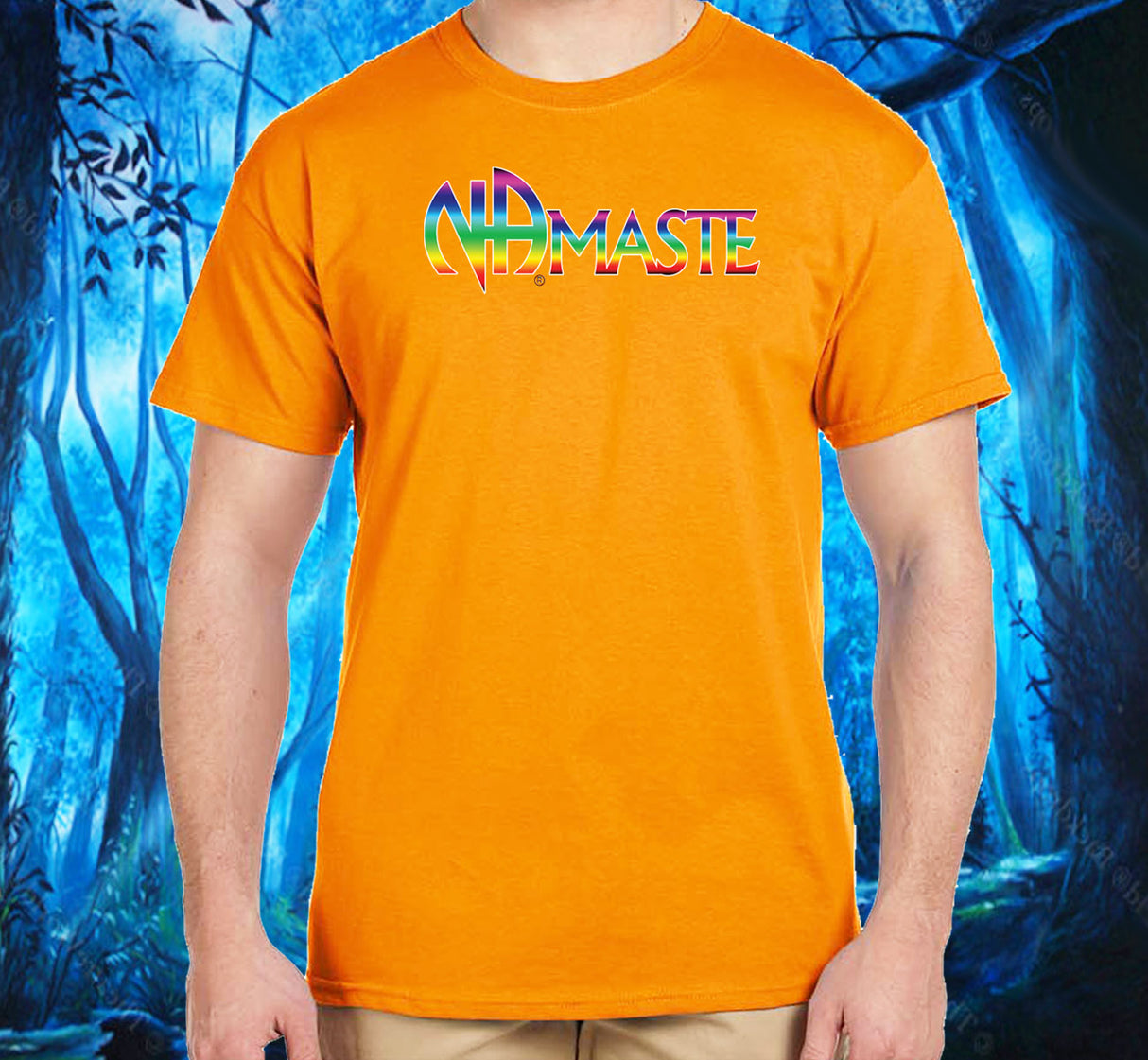 NAmaste NA Rainbow SS/LS Tee