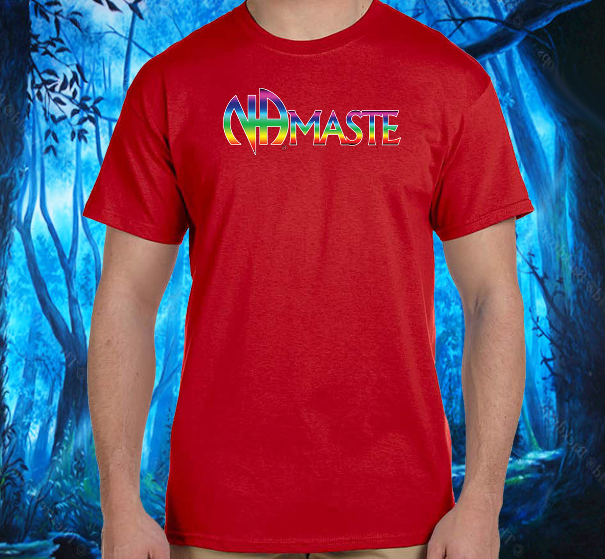 NAmaste NA Rainbow SS/LS Tee
