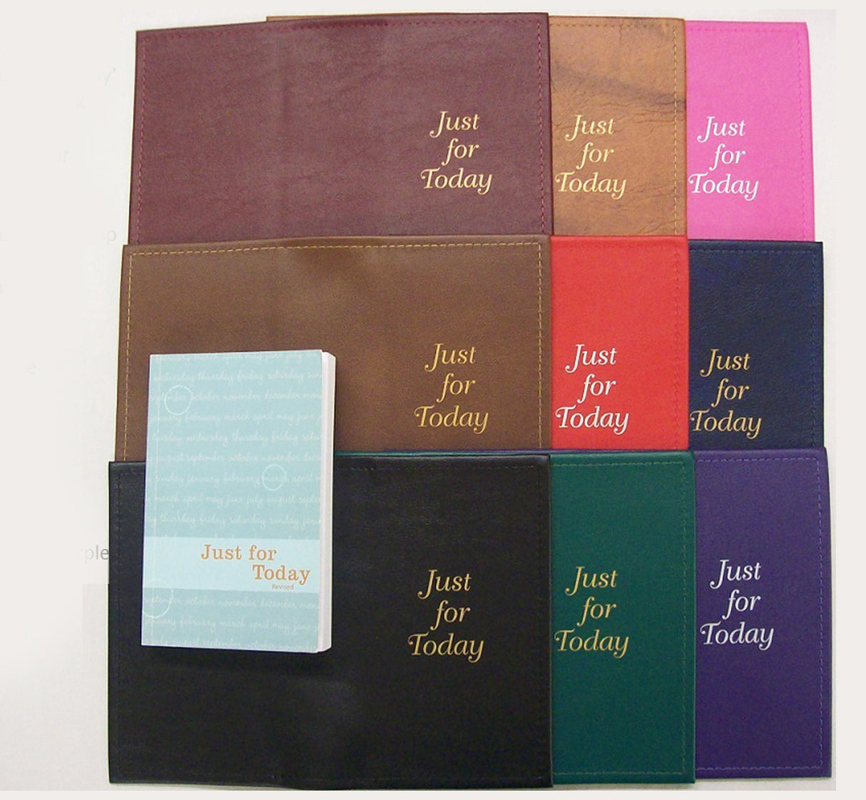 Cover-NA Regular Paperback with Just For Today