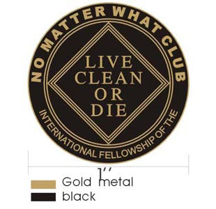 mlp- No Matter What Lapel Pin