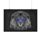 Cool NA Cat Horizontal Posters