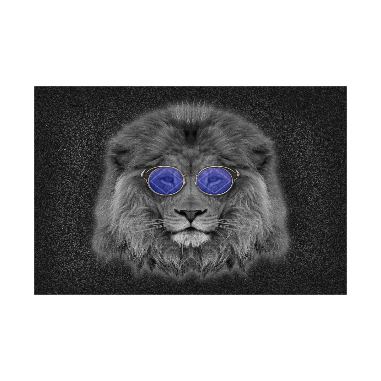 Cool NA Cat Horizontal Posters
