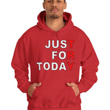 Just For Today - TRY V.2 dtg Hoodie