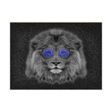 Cool NA Cat Horizontal Posters
