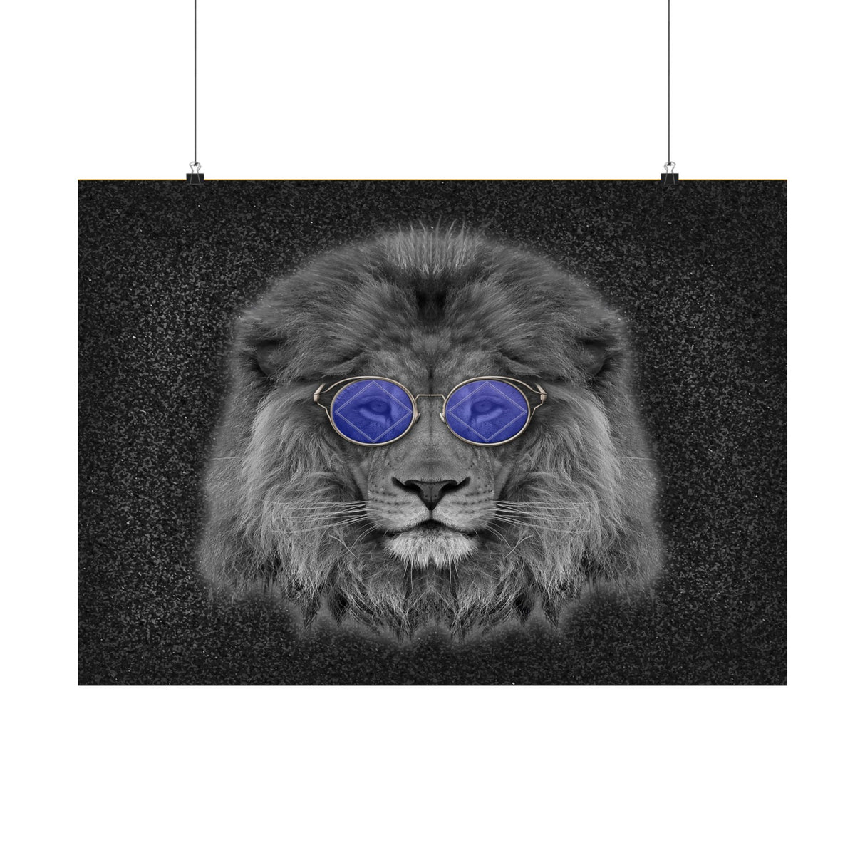 Cool NA Cat Horizontal Posters