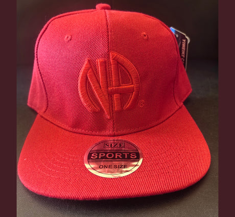 hg-bc- NA Symbol  SnapBack Ball Cap