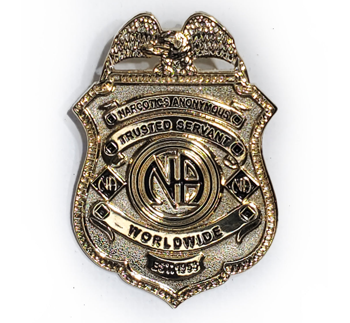 NA Trusted Servant Badge Lapel Pin