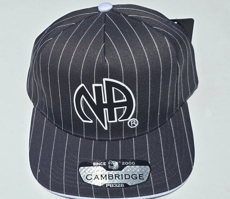 Ball Cap Gray Striped NA Symbol Snapback y)