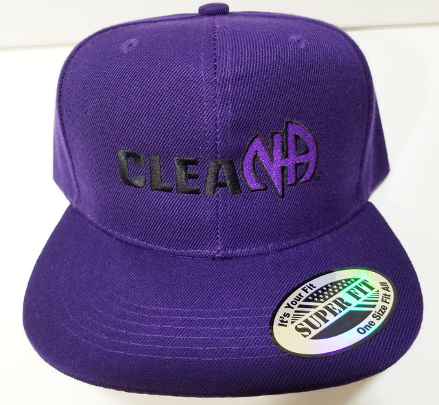 Clean NA Logo  Purple Ball Cap