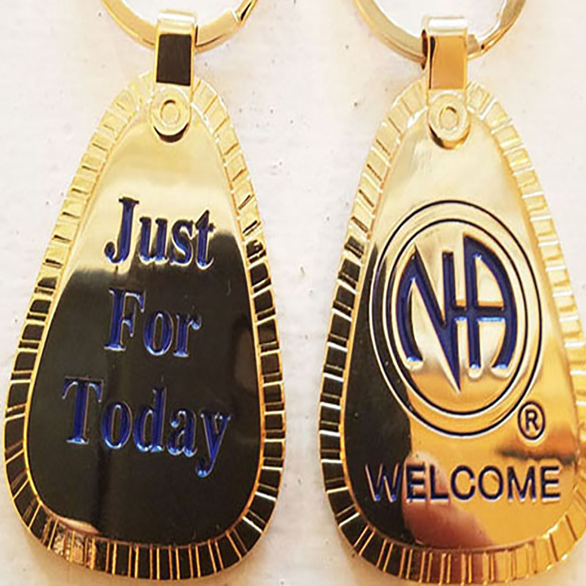 Naf Keychain NAWEARS, Narcotics Anonymous Gifts, NA Gold Plated JFT Year Tag – nawears